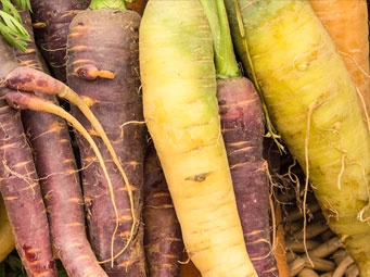 DELICIOUSLY QUIRKY AND PERFECTLY IMPERFECT: THE STORY OF UGLY VEG